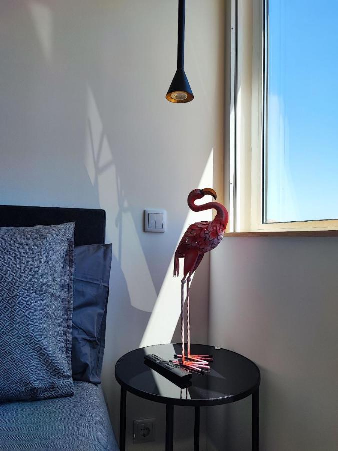 O Flamingo Apartments Ovar Esterno foto
